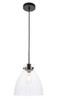 Elegant Lighting - LD5029D11BK - One Light Pendant - Frey - Black