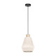 Eglo USA - 205762A - One Light Pendant - Lanier - Black