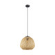 Eglo USA - 206044A - One Light Pendant - Dembleby - Black