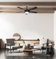 Preston 52" Ceiling Fan (CF52P175BK)