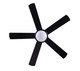 Preston 52" Ceiling Fan (CF52P175BK)