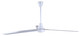 Industrial Fan 60" Ceiling Fan (CP60D11N)