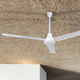 Industrial Fan 60" Ceiling Fan (CP60D11N)