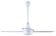 Industrial Fan 60" Ceiling Fan (CP60DW11N)