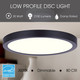 Led Disk Light LED Disk (DL-15C-30FC-BK-C)