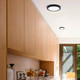 Led Disk Light LED Disc Light (DL-7F-15S-BK-C)