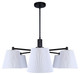 Aspen Six Light Chandelier (ICH1201A06BK)