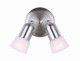 Canarm - ICW5251 - Two Light Ceiling Mount - Omni - Brushed Pewter