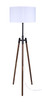 Sull One Light Floor Lamp (IFL2127B63BKW)