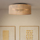 Bellamy Three Light Flush Mount (IFM1149A15NBK)