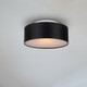 Dexter Two Light Flush Mount (IFM318A13BK)