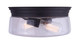 Mill Two Light Flush Mount (IFM623A12ORB)