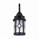 Outdoor One Light Outdoor Downlight (IOL208BK)