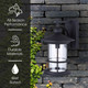 Treehouse One Light Outdoor Downlight (IOL314BK)