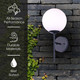 Kahlo One Light Outdoor Lantern (IOL465BK)
