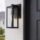 Alaina One Light Outdoor Wall Mount (IOL711BK)