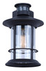 Dakota One Light Outdoor Wall Mount (IOL717BK)