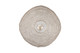 Warren One Light Pendant (IPL1183A01AB20)