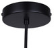 Halsey One Light Pendant (IPL2101B01BK)