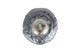 Eden One Light Pendant (IPL2155B01BK)
