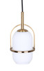 Eve One Light Pendant (IPL2190B01GD)