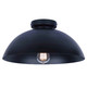 Eddie One Light Semi Flush Mount (ISF2192B01BK)