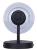 Luelle One Light Vanity (IVL1151A01BK)