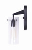 Joni One Light Vanity (IVL759A01BK)