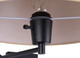 Theodore One Light Wall Sconce (IWF2119B01BK)