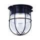 Canarm - LCL161A04CWGBK - LED Barn Light - Led Barn - Black