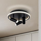 Denver LED Ceiling/Wall Mount (LCW314A03BK)