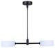 Carmynn LED Pendant (LPL288A02BK)