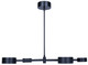 Montgomery LED Pendant (LPL315A04BK)