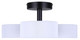 Carmynn LED Semi Flush Mount (LSF288A03BK)