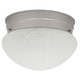 Capital Lighting - 5678MN - Two Light Flush Mount - Scott - Matte Nickel