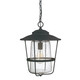 Capital Lighting - 9604BK - One Light Outdoor Hanging Lantern - Creekside - Black