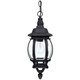 Capital Lighting - 9868BK - One Light Outdoor Hanging Lantern - French Country - Black