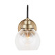 Daphne One Light Wall Sconce (9D320A)