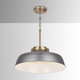 Oakwood One Light Pendant (9D329A)