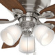 Durant 44" Ceiling Fan (53187)