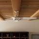 Inez 60" Ceiling Fan (53565)