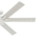 Melia 65" Ceiling Fan (53568)