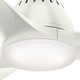 Wisp 52" Ceiling Fan (59284)