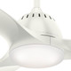 Wisp 52" Ceiling Fan (59284)