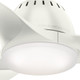 Wisp 44" Ceiling Fan (59286)
