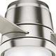 Commodus 44" Ceiling Fan (59570)