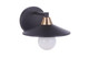 Isaac One Light Wall Sconce (12508FBSB1)