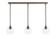 Toltec Lighting - 36-BRZ-4810 - Three Light Linear Pendalier - Stem - Bronze