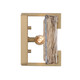 Aenon Two Light Wall Sconce (3164-WSC BCB-AWG)