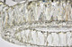 Monroe LED Flush Mount (3503F26L2C)